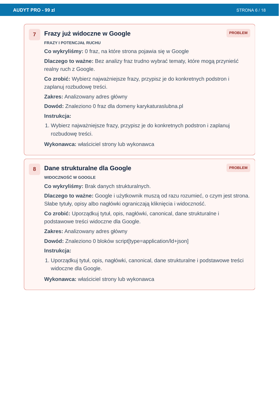 Podgląd sekcji PRO raportu AnalizaStrony.online